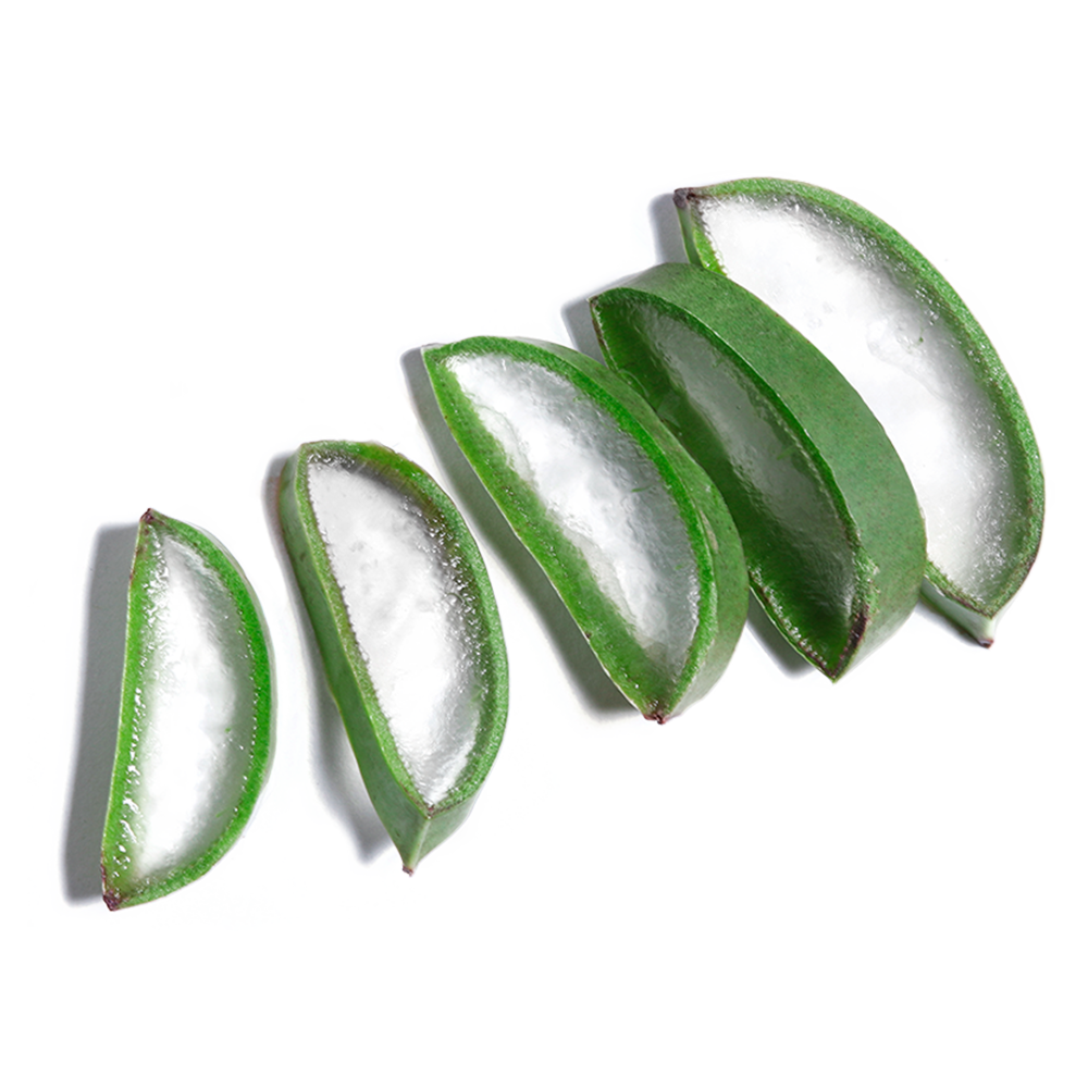 Aloe leaf juice