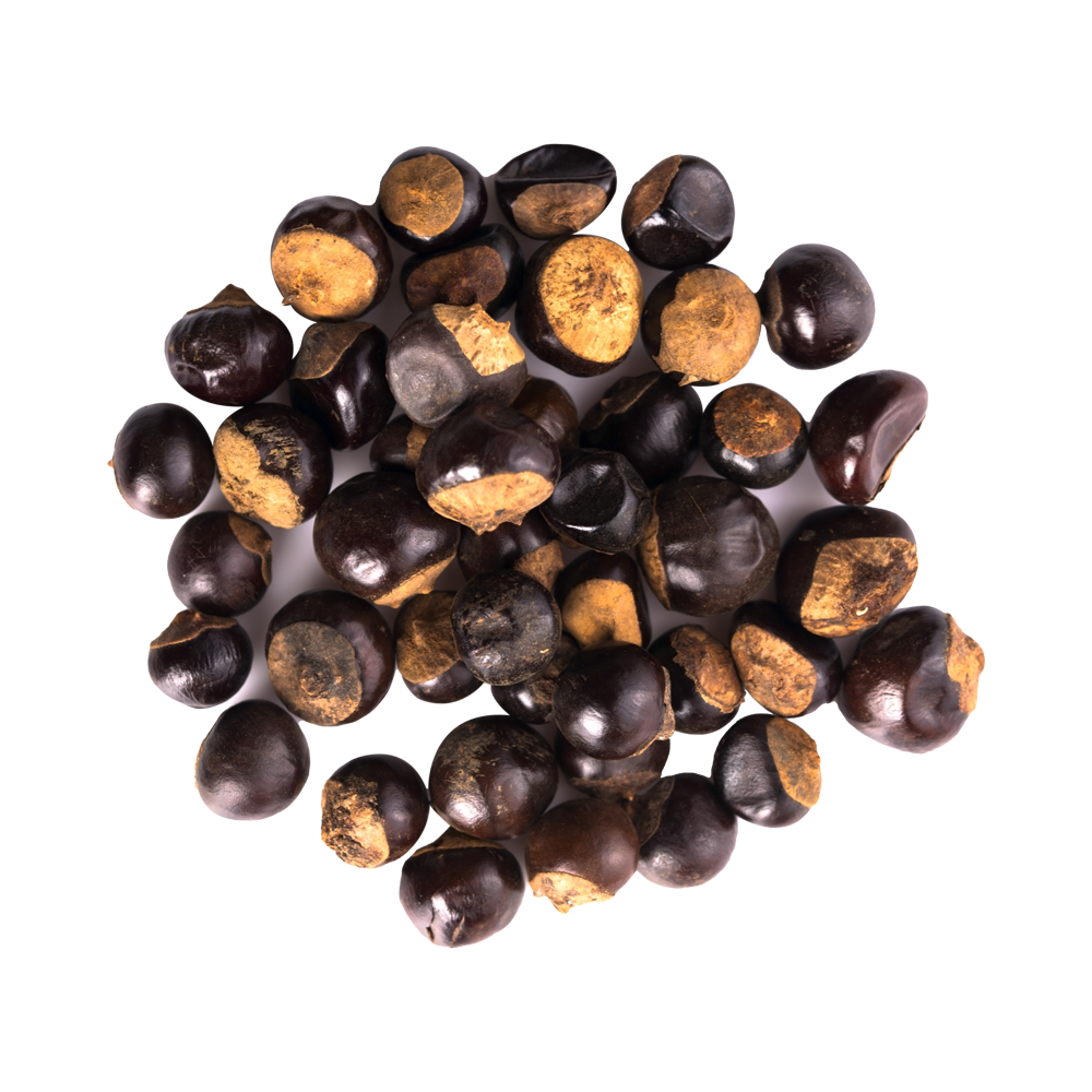 Guarana Seed