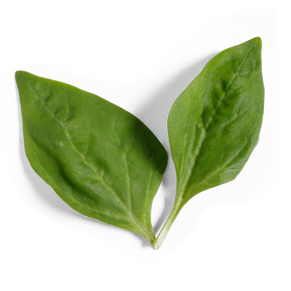 Vitamin E