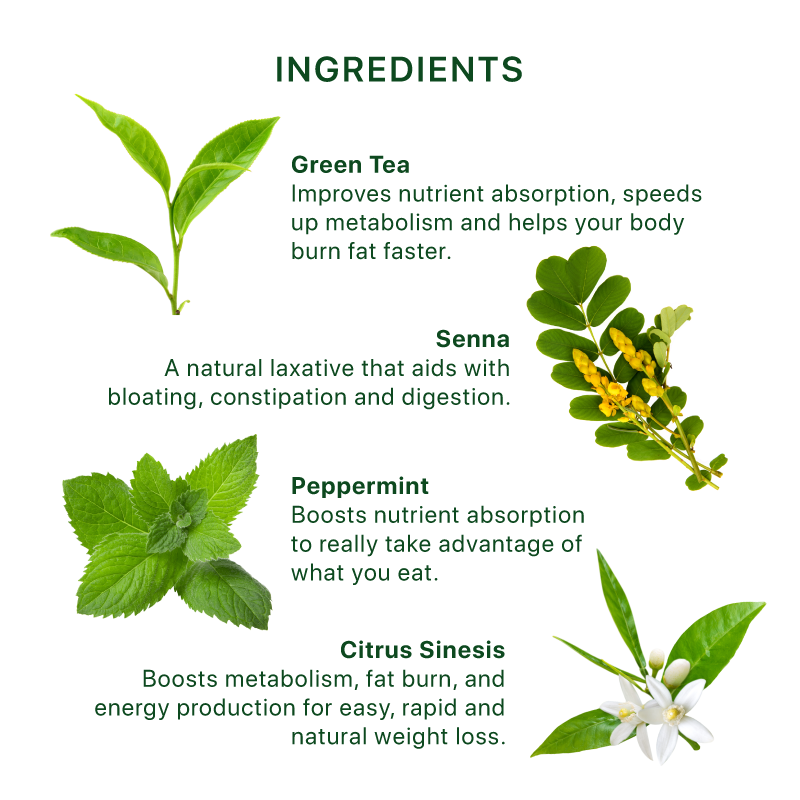 Dr. Ming Tea™ 60 Bags